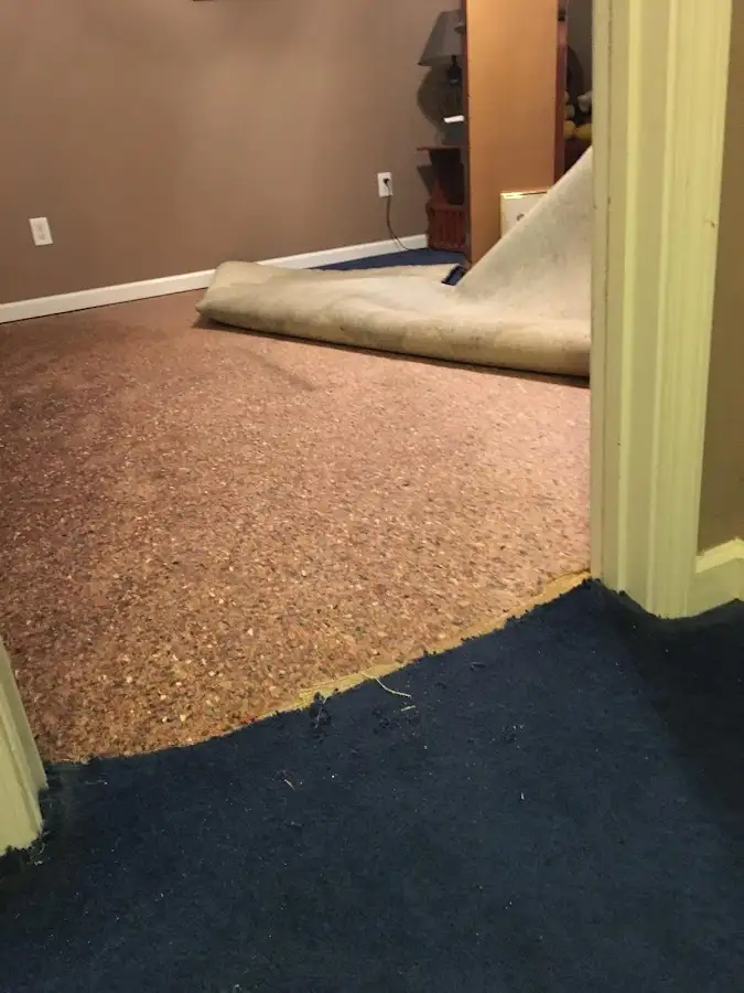 Carpet pad removal revealing water damage during Drying & Dehumidification in Dalton