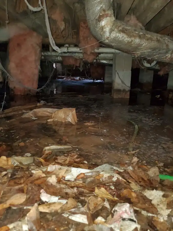 Crawl space flood assessment for Leak Detection & Repair in Dalton
